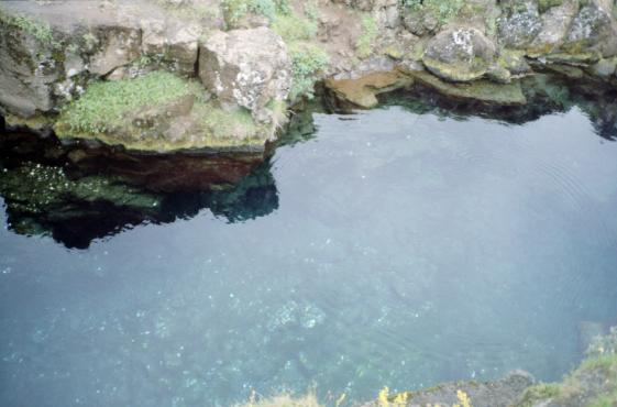 A pool which is supposed to grant wishes to those throwing coins into it